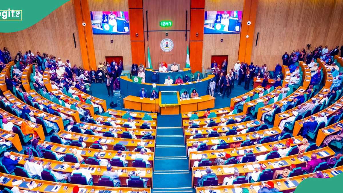 Nigerian Lawmakers Demand Tinubu Face Parliament Over Chronic Budget Failure