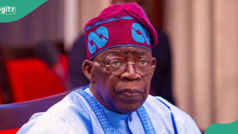 What Tinubu Has Actually Done for the Southeast and Why One Igbo Leader Is Calling for His Re-election
