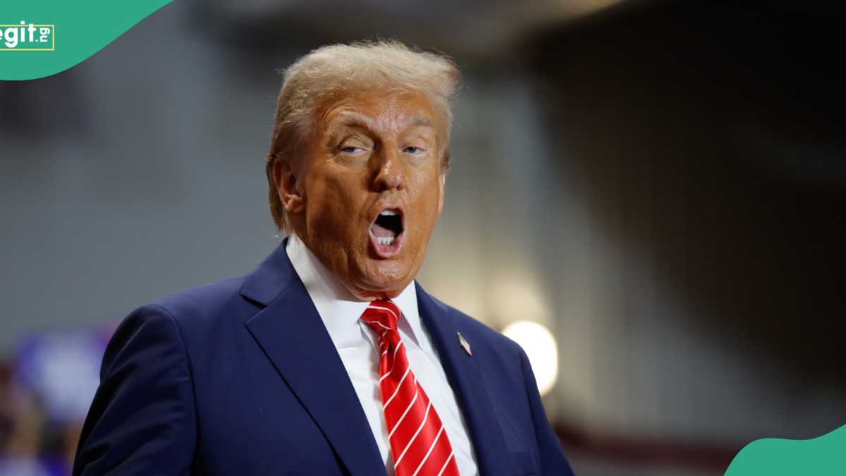 US Airports Become Arrest Zones as ICE Targets Nigerians and Other Foreigners Over Expired Visas