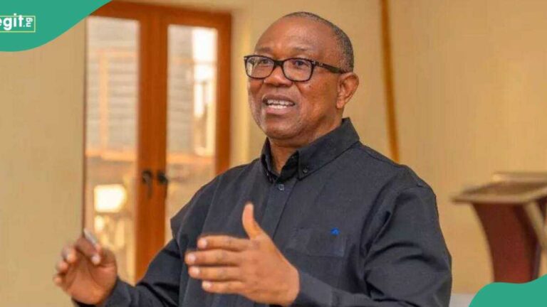 Peter Obi Rejects Allegations He Wants Nigeria Split, Fires Back at Former Borno Governor