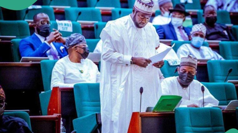 Execute, Don't Rehabilitate: Federal Lawmaker Calls for Death Penalty for Terrorists and Bandits