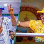 APC's Osun Defeat: Youth Leader Demands Honest Reckoning Before 2027