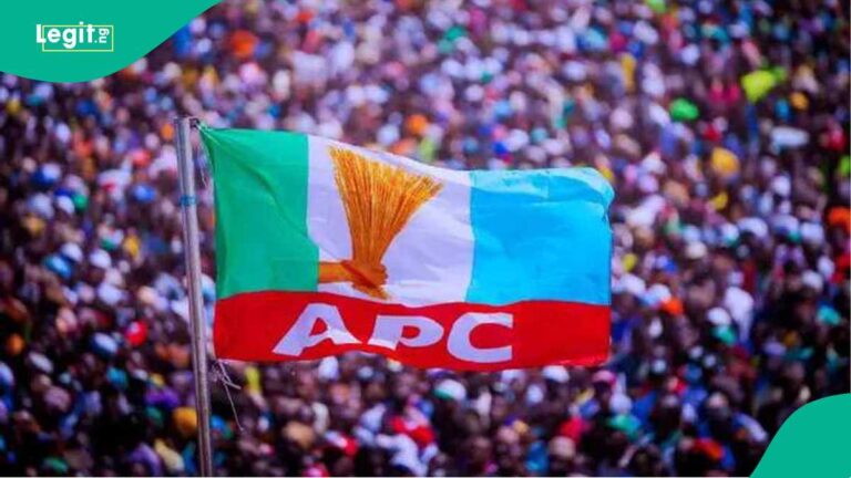 A Child Shot at an APC Rally: What Happened in Ilesa Demands Answers