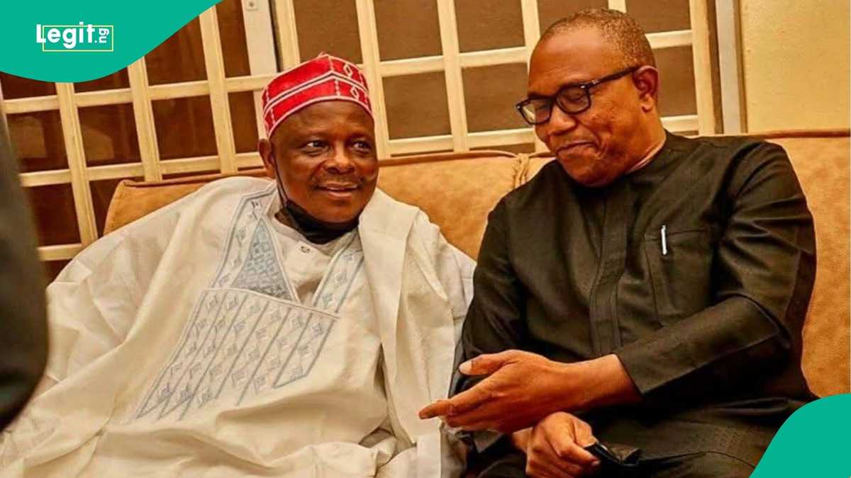Kwankwaso Outlines How an NDC Government Would Bring Petrol Prices Down