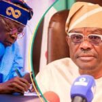 Wike's Rainbow Coalition Is Already Showing Cracks — and the 2027 Election Is Still a Year Away