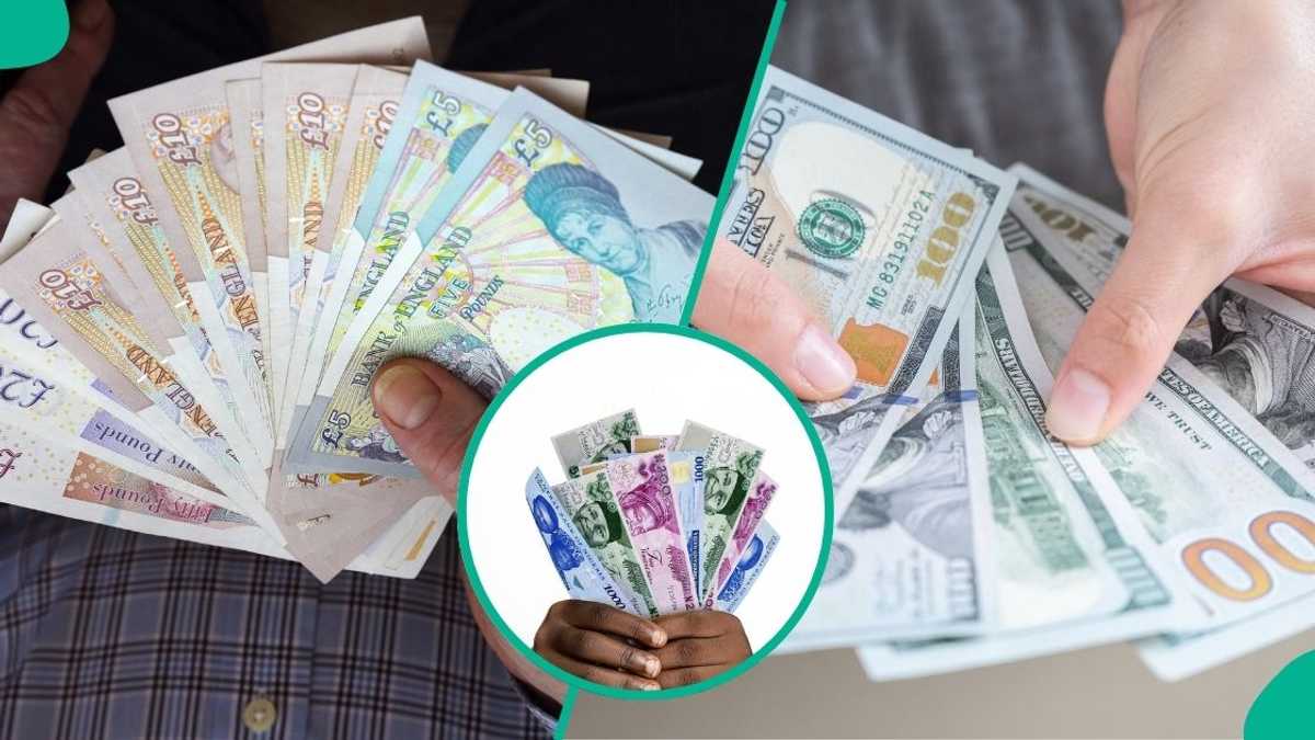 Naira Under Pressure at Official Window — But Nigeria's Reserves Hit a 17-Year High