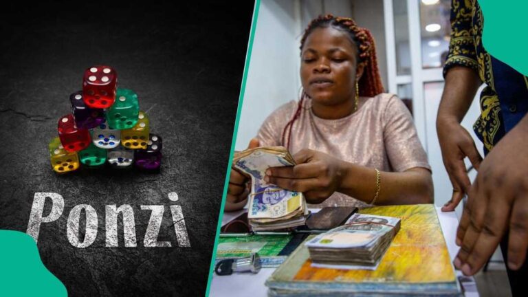 PXES Collapses, Leaving Nigerian Investors Stranded as Offices Are Looted