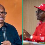 Anambra Debt Row: Peter Obi's Former SSG Steps Forward With Handover Documents