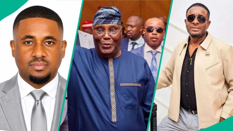 ADP's Chinazam Ike Rules Out Atiku Alliance and Sets Out the Party's 2027 Vision