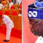 Senate Confirms Tinubu's Diplomatic Appointment as Nigeria Expands Foreign Mission Corps