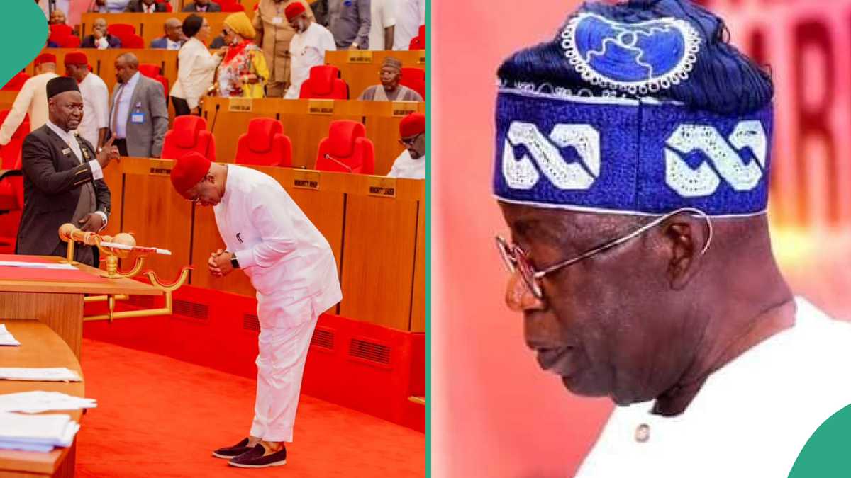 Senate Confirms Tinubu's Diplomatic Appointment as Nigeria Expands Foreign Mission Corps