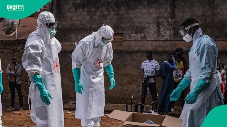 Nigeria Puts Ebola Defences on Alert After Kenya Confirms Imported Bundibugyo Case