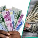 Naira Edges Higher as Dollar Supply Improves and Parallel Market Gap Shrinks Below 3%
