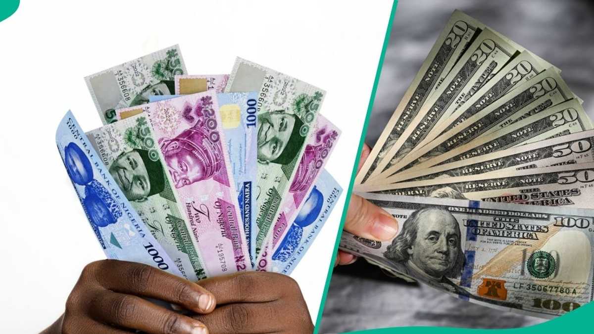 Naira Edges Higher as Dollar Supply Improves and Parallel Market Gap Shrinks Below 3%